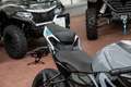 Sonstige Marken 300SR ABS, 4 JAHRE WERKSGARANTIE Grau - thumbnail 9