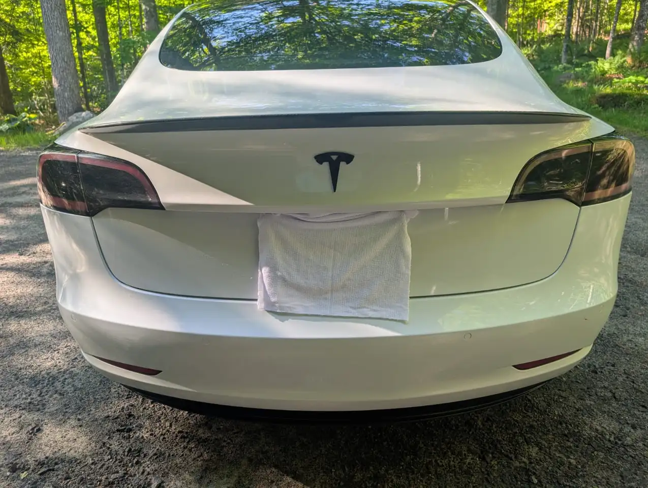 Tesla Model 3 снимка Tesla Model 3