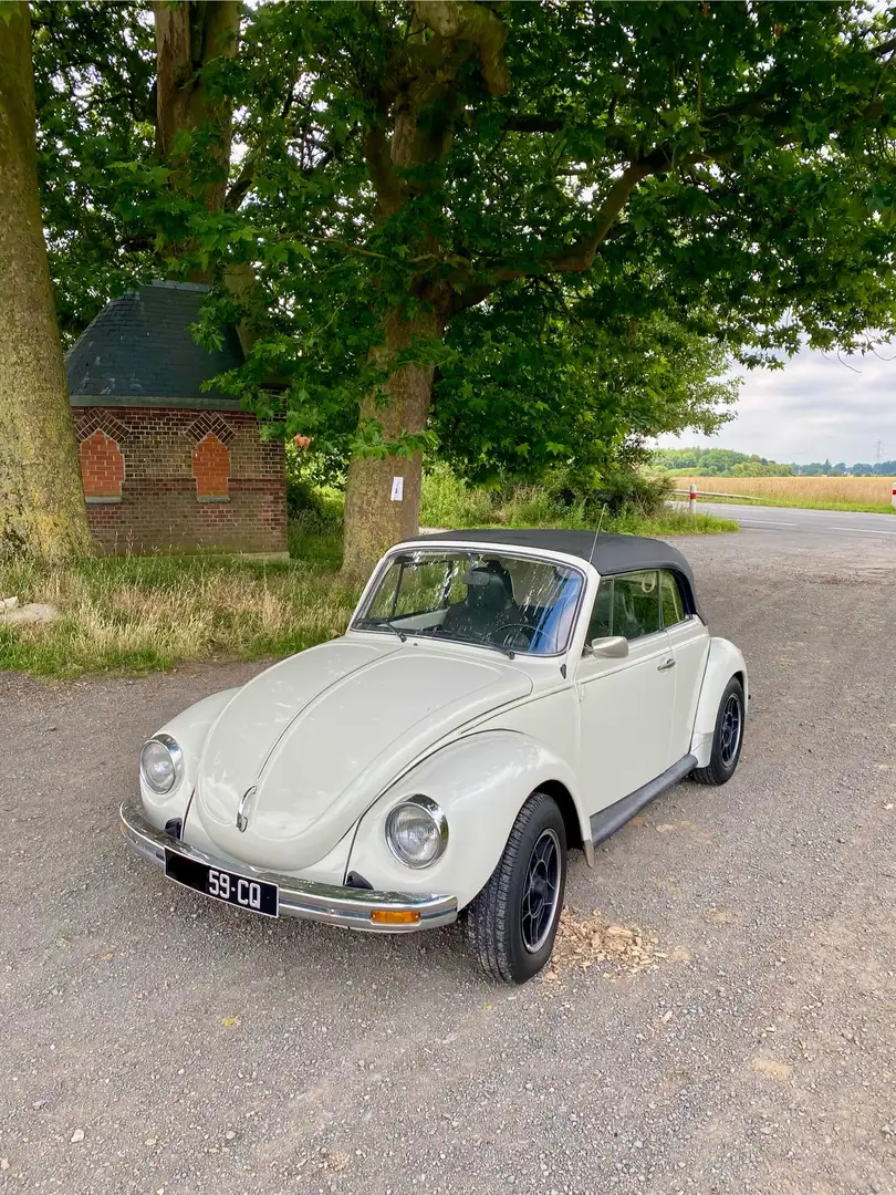 Volkswagen Coccinelle - 1