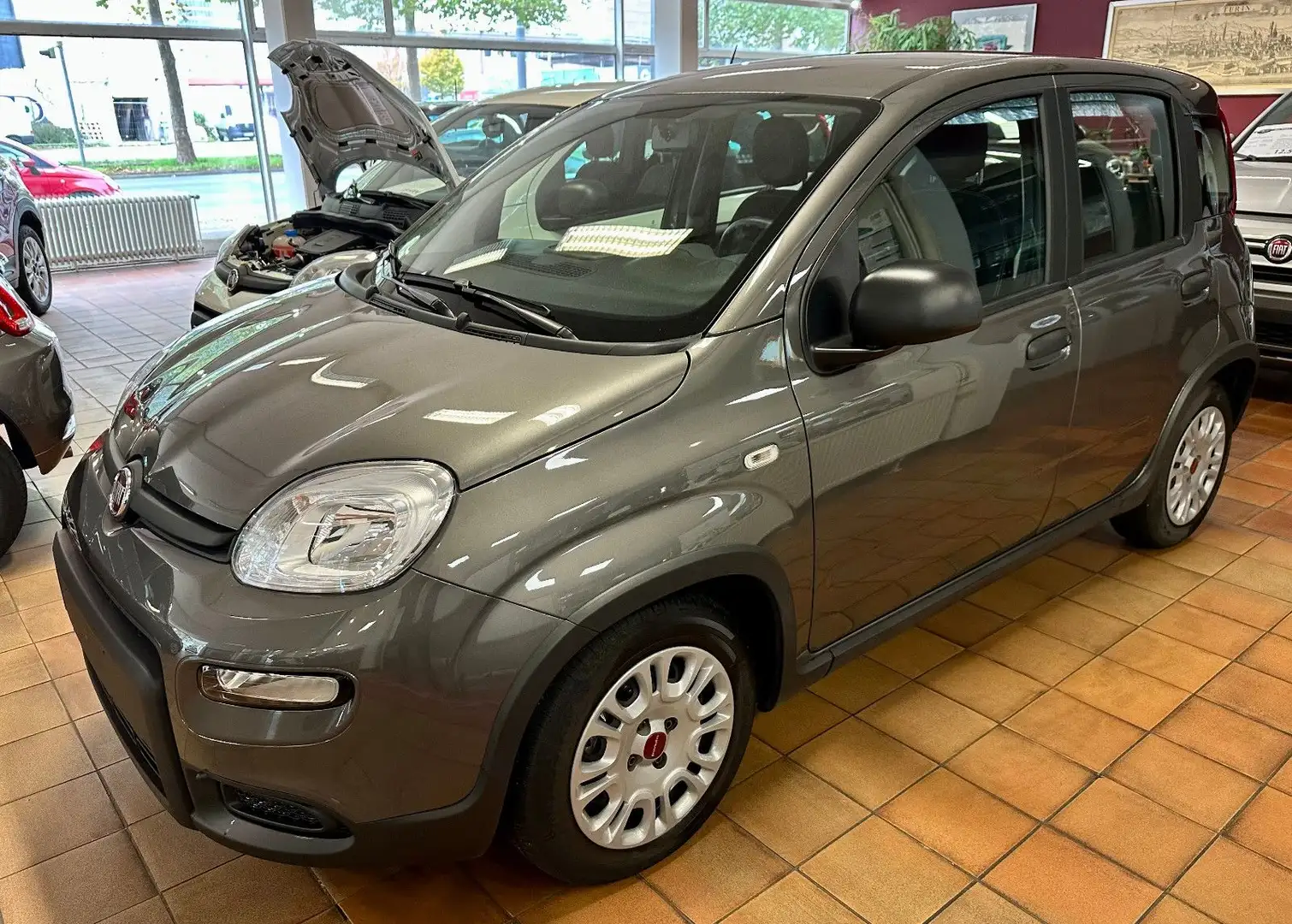 Fiat Panda 1.0 GSE Hybrid Gris - 1