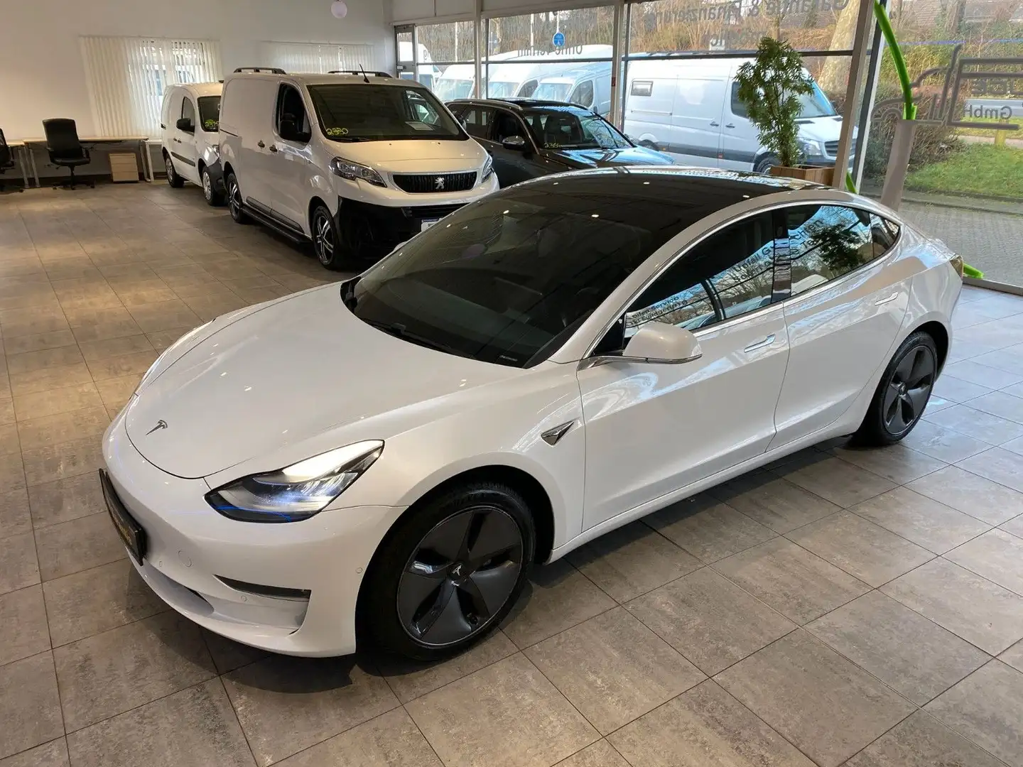 Tesla Model 3 Long Range Dual AWD Weiß - 2