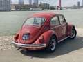 Volkswagen Kever - thumbnail 3