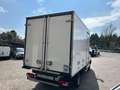 Mercedes-Benz Sprinter T37/35 315 CDI RWD FRIGO FNAX Bianco - thumbnail 5