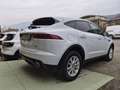 Jaguar E-Pace 2.0 i4 SE awd 200 cv auto Cruise Kamera Posteriore - thumbnail 5