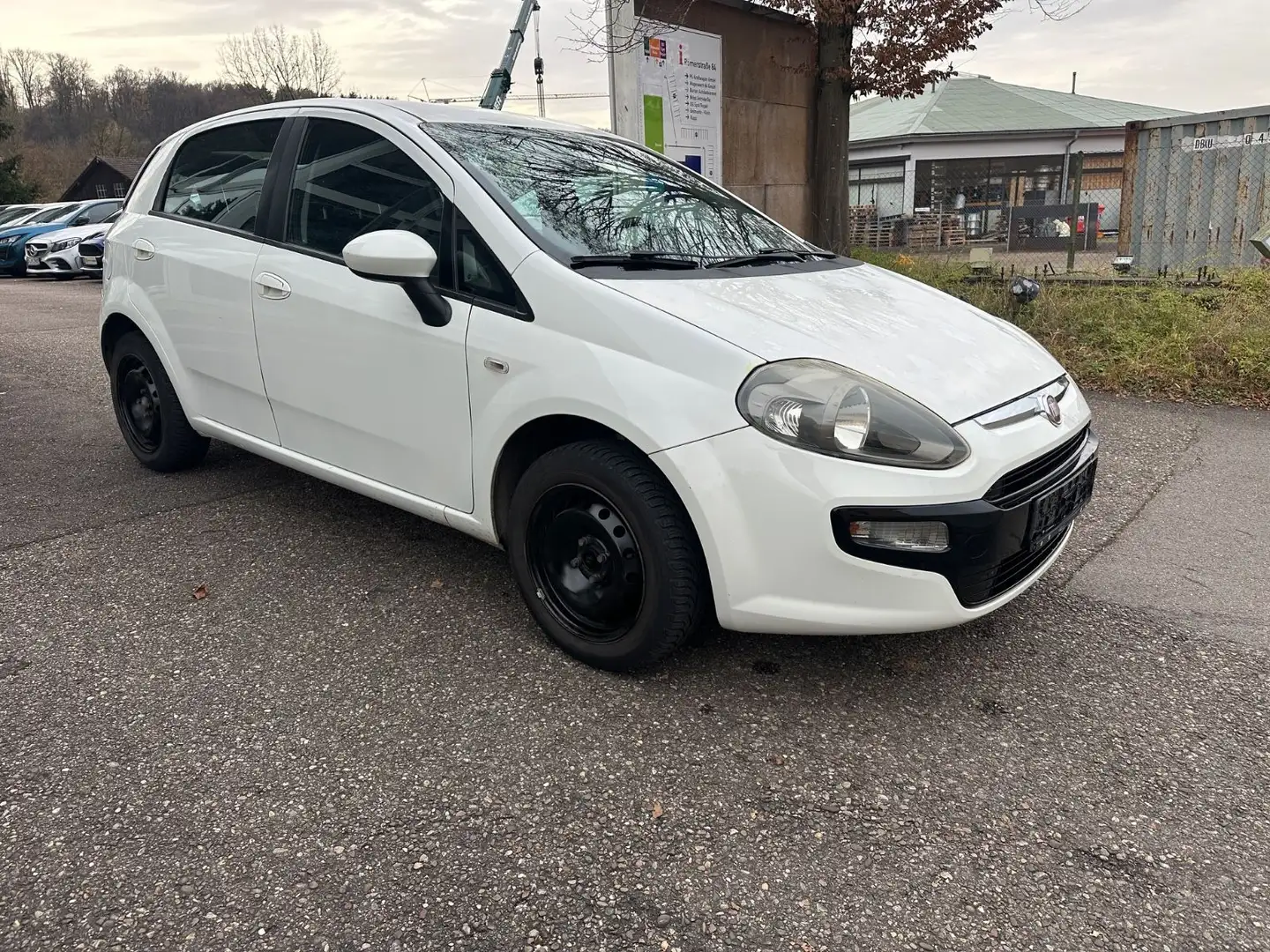 Fiat Punto Evo MyLife 1.2 TÜV NEU Klima Weiß - 2