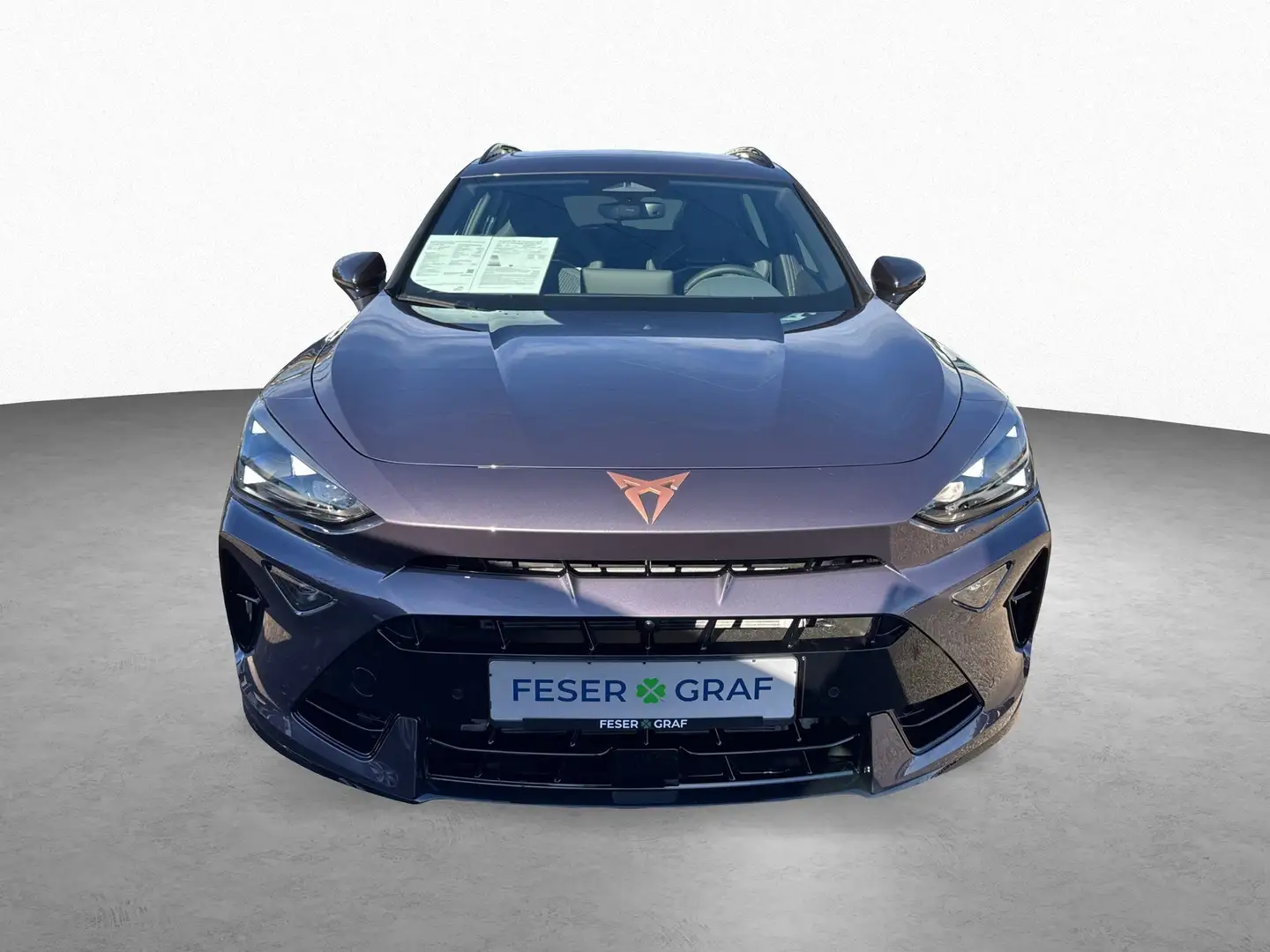 CUPRA Formentor VZ EXTREME 2.0TSI 4DRIVE AKRA AHK PANO Violett - 2