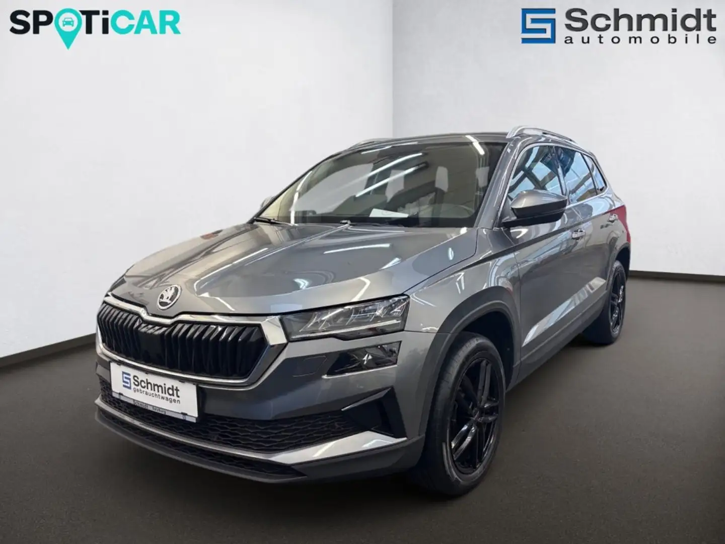 Skoda Karoq 2.0 TDI Style Grau - 1