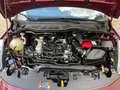Ford Fiesta ST-Line 1.0 EB Mild-Hybrid +APP+DAB+LED+ Rot - thumbnail 19