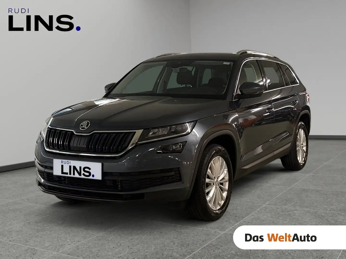 Skoda Kodiaq 4x4 Style SC TDI DSG Grau - 1