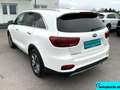 Kia Sorento 2,2 CRDi SCR AWD Gold Aut. Weiß - thumbnail 6