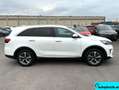 Kia Sorento 2,2 CRDi SCR AWD Gold Aut. Weiß - thumbnail 8