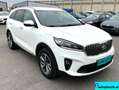Kia Sorento 2,2 CRDi SCR AWD Gold Aut. Weiß - thumbnail 3