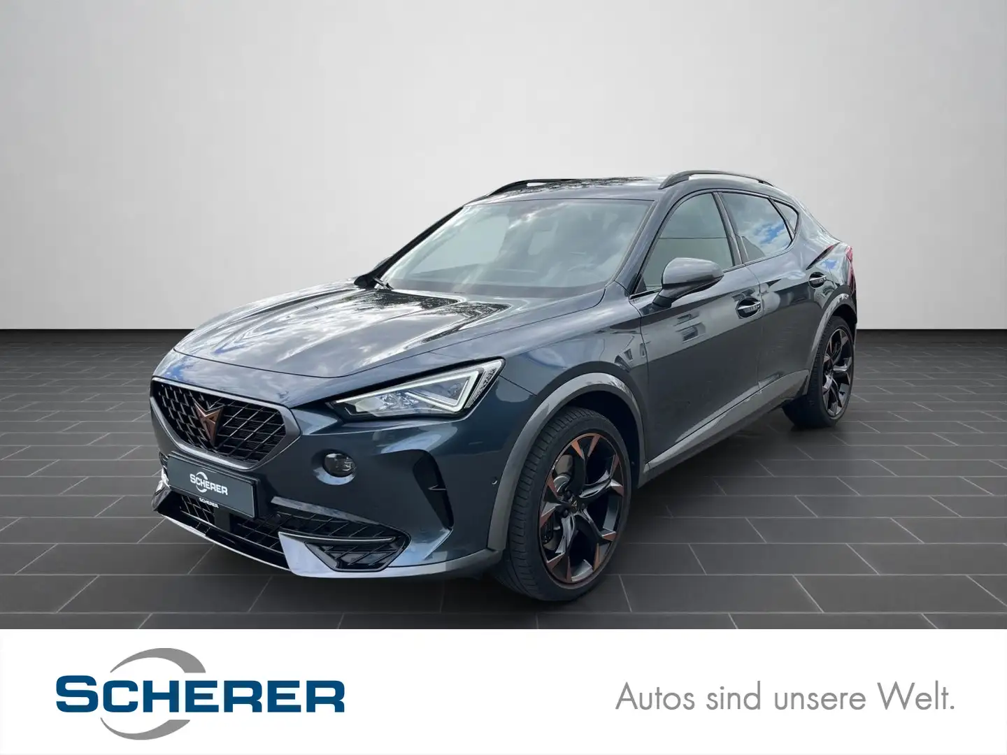 CUPRA Formentor VZ 2.0 TSI 4Drive DSG CarPlay RFK Grau - 1
