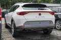 CUPRA Formentor 1.5 TSI DSG+LED+Full Link Klima Weiß - thumbnail 4
