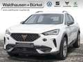 CUPRA Formentor 1.5 TSI DSG+LED+Full Link Klima Weiß - thumbnail 1