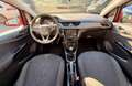Opel Corsa Opel Corsa V  5p 1.2 Benzina Neopatentati Rood - thumbnail 10