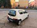 Fiat 600 2006 1.1, 1 PROPRIETARIO, SOLO 68.000 KM Wit - thumbnail 5