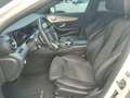 Mercedes-Benz E 350 d Avantgarde Aut. *AMG-Line*Digitales Display*M... Weiß - thumbnail 8