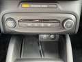Ford Focus Turnier 1.0 HYBRID Aut. Active X |AHK|B&O| Blau - thumbnail 28