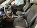 Ford Kuga ST-Line X PHEV AUT Weiß - thumbnail 14