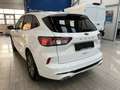 Ford Kuga ST-Line X PHEV AUT Weiß - thumbnail 3