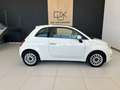 Fiat 500 1.0 Hybrid Dolcevita 52kW Blanc - thumbnail 3