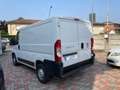 Fiat Ducato Ducato 28 2.0 MJT PC-TN Furgone Blanc - thumbnail 3