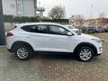 Hyundai TUCSON Tucson 1.6 BENZINA 132 CV!!!! Blanc - thumbnail 3