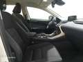 Lexus NX 200t SUV BUSINESS 2.5 Híbrido Gasolina (197CV) Transmi Blanc - thumbnail 6