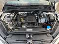 Volkswagen Golf Sportsvan VII 1,0 TSI Join Navi Sperrdiff. ACC Apple CarPlay Weiß - thumbnail 16