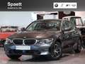 BMW 320 i Limousine Advantage HiFi DAB WLAN AHK Shz Grau - thumbnail 1