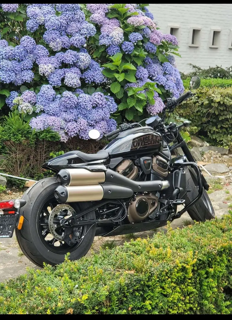 Harley-Davidson Sportster 1200 - 1