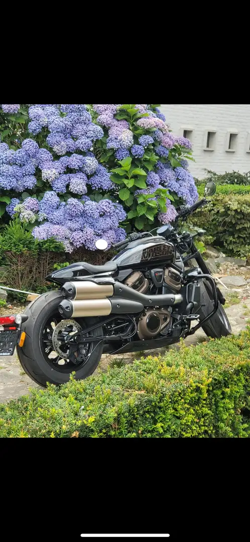 Harley-Davidson Sportster 1200 - 1