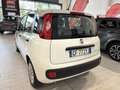 Fiat Panda 1.0  HYBRID 70CV KM. CERT. FULL AZIENDALE Bianco - thumbnail 7