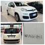 Fiat Panda 1.0  HYBRID 70CV KM. CERT. FULL AZIENDALE Bianco - thumbnail 1