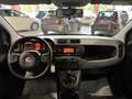 Fiat Panda 1.0  HYBRID 70CV KM. CERT. FULL AZIENDALE Bianco - thumbnail 11