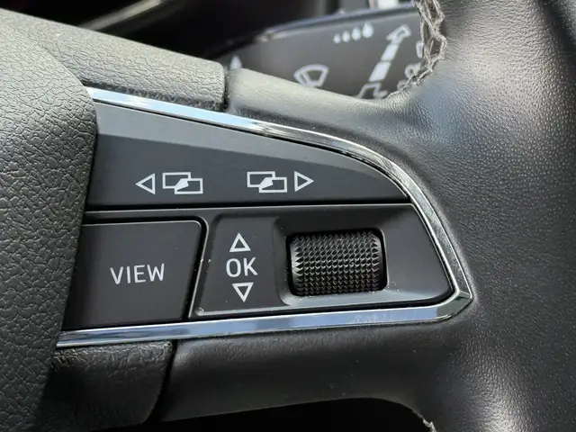 SEAT Ateca view 13