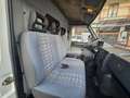 Iveco Daily 35.10 2.8 DIESEL Blanc - thumbnail 12