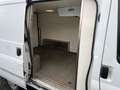 Ford Transit Kasten FT 300 K LKW*KÜHLKASTEN*HEIFO*TÜV Wit - thumbnail 9