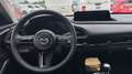 Mazda CX-30 2025 2.5 e-SKYACTIV G MHEV 140CV 6MT FWD CENTRE LI Rojo - thumbnail 14