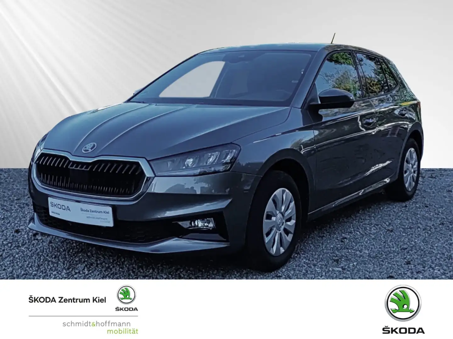 Skoda Fabia 1.0 TSI Selection Selection OPF (EURO 6e) Klima Grau - 1