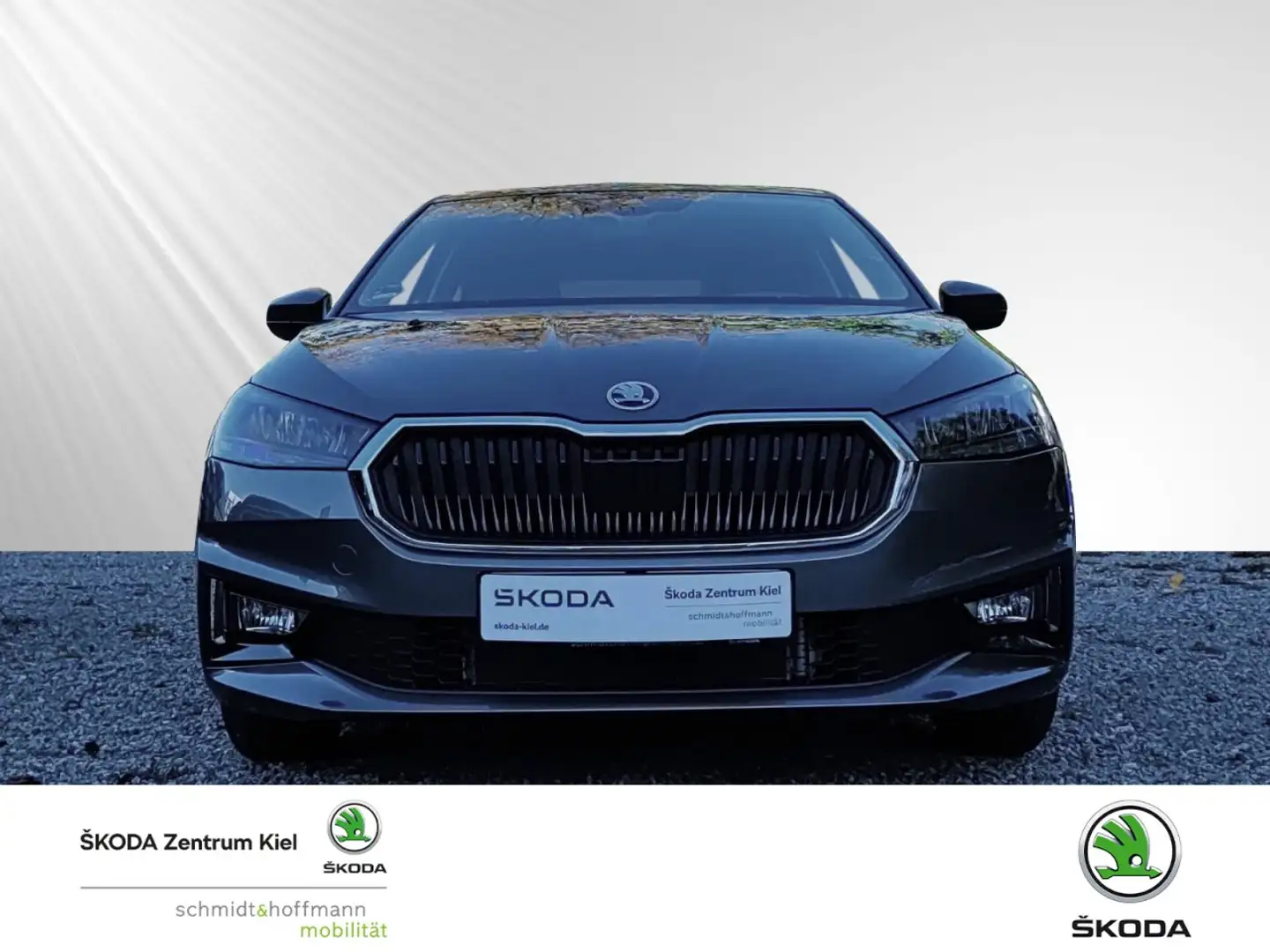Skoda Fabia 1.0 TSI Selection Selection OPF (EURO 6e) Klima Grau - 2