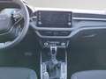 Skoda Fabia 1.0 TSI Selection Selection OPF (EURO 6e) Klima Grau - thumbnail 12