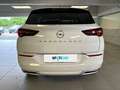 Opel Grandland 1.5 130cv AT8 Business Elegance Bianco - thumbnail 4