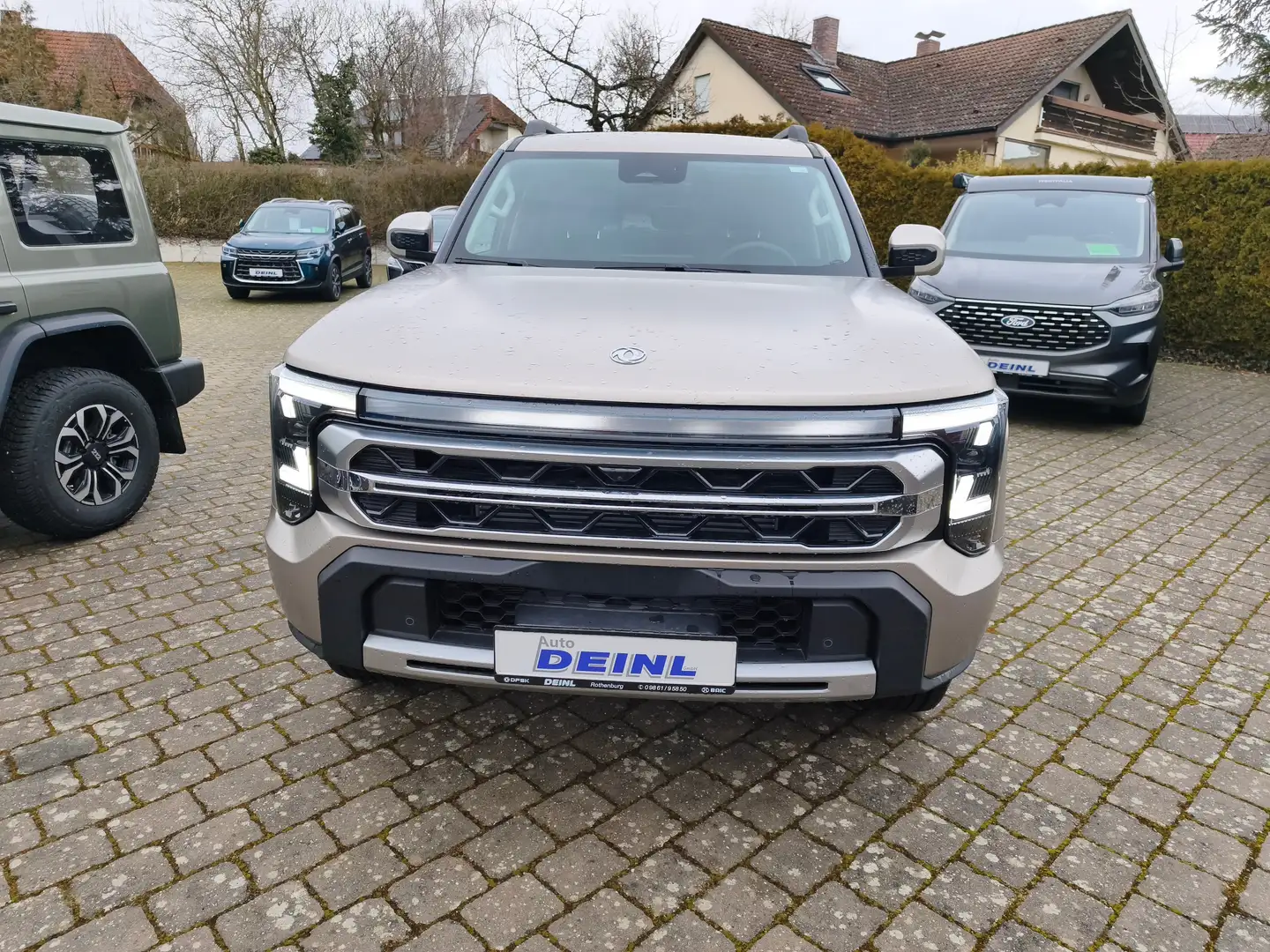 Dongfeng Sonstige Rich 9 Beige - 2