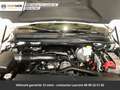 Dodge RAM Longhorn 12P Crew Cab 4x4 Tout compris hors homolo Blanc - thumbnail 8