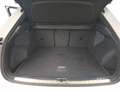 Audi Q3 35 TDI advanced S-Line AHK 19'' el.Heck SHZ Weiß - thumbnail 15