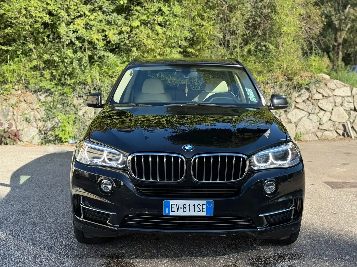 BMW X5 xdrive30d Luxury 258cv auto - 1