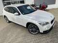BMW X1 sDrive 20i Sport AT Scheckheft u-frei Xenon SHZ Blanc - thumbnail 4