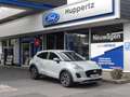 Ford Puma 1.0 Titanium AUT RFK PDC SHZ LED NAVI ALU Gris - thumbnail 1